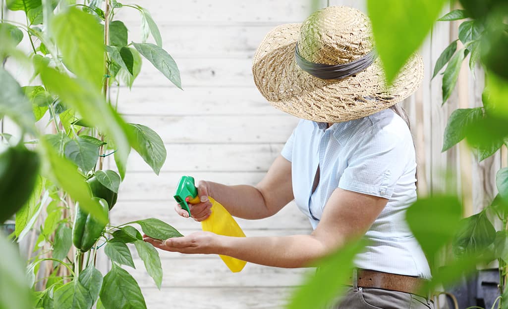 How to Get Rid of Pests Organically - The Home Depot