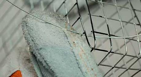 Adhere edges thread - Suet Bird Feeder Adhere edges thread - Suet Bird Feeder