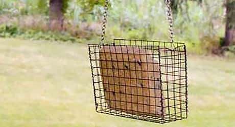 Insert suet brick - Suet Bird Feeder Insert suet brick - Suet Bird Feeder