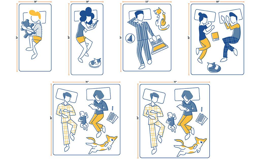 People and pets lying on different sizes of mattresses. People and pets lying on different sizes of mattresses.