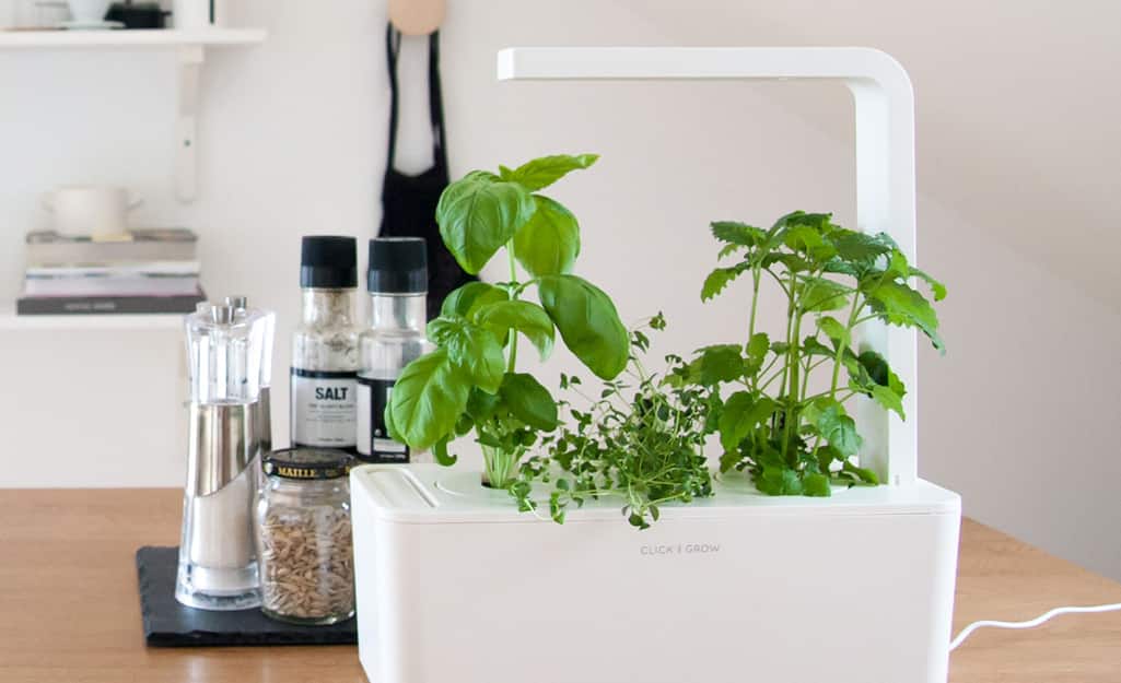 Father S Day Gift Ideas For A Gardening Dad The Home Depot Day Gift Ideas For A Gardening Dad, Gift Ideas For Dads Who Like To Garden