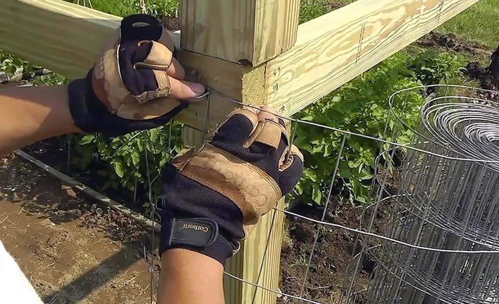 A person securing wire mesh to a fence post with staples. A person securing wire mesh to a fence post with staples.