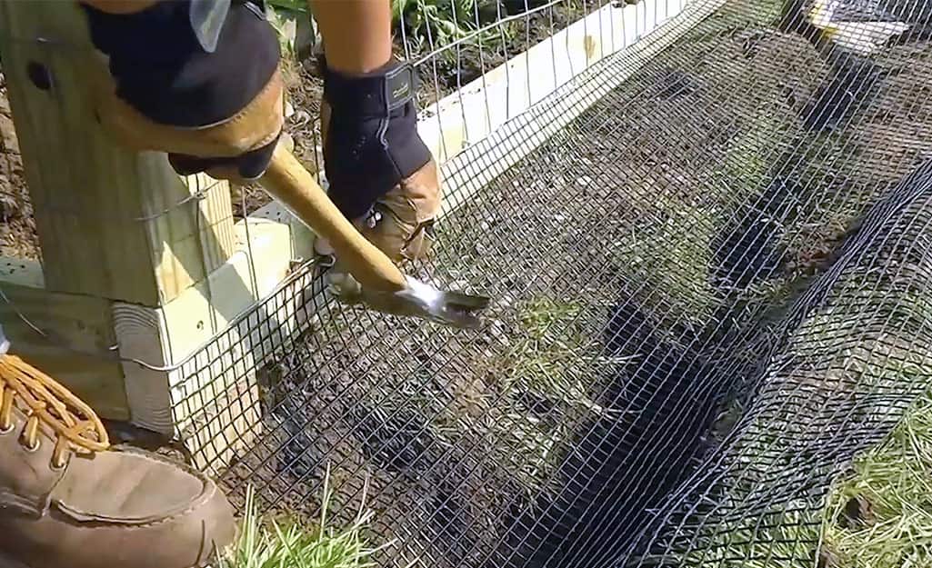 A person attaching PVC-coated wire mesh to the bottom of a wire fence. A person attaching PVC-coated wire mesh to the bottom of a wire fence.