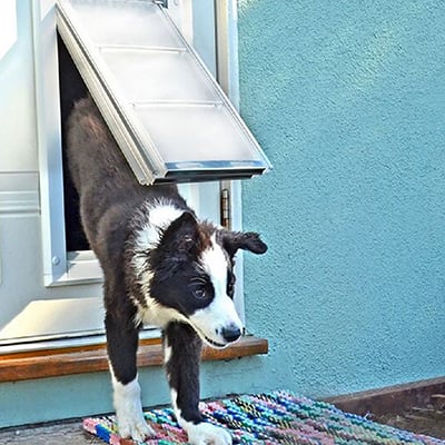 How To Install A Dog Door The Home Depot How To Install A Dog Door The Home Depot, Doggie Door For Sliding Glass Door Home Depot