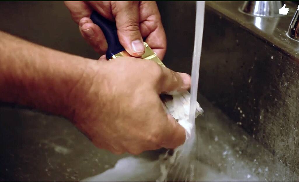 A person washes a paintbrush with soap under running water in a sink. A person washes a paintbrush with soap under running water in a sink.