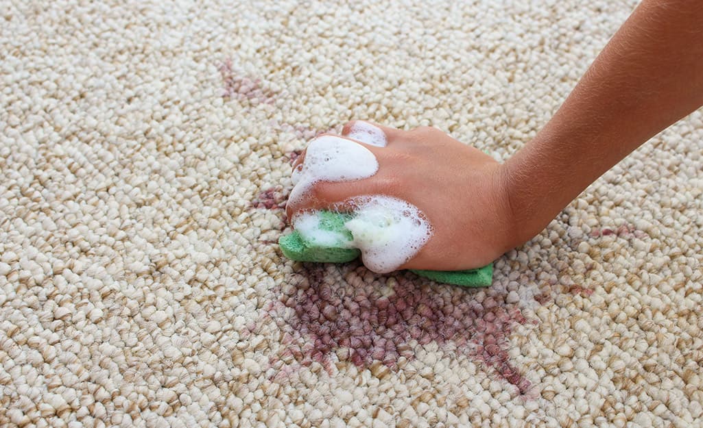 A person using a soapy sponge to spot clean a rug. A person using a soapy sponge to spot clean a rug.
