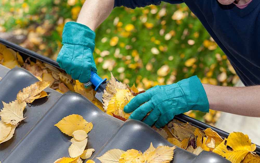 A person cleaning gutters to prevent mold development. A person cleaning gutters to prevent mold development.