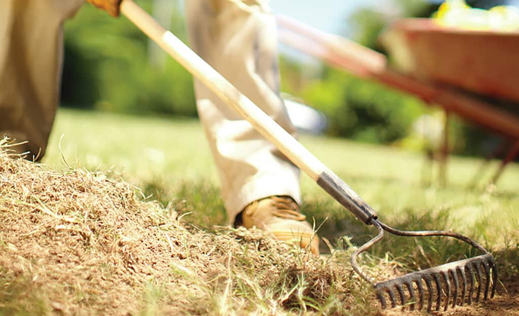 A person using a rake to prepare soil for seeding grass. A person using a rake to prepare soil for seeding grass.