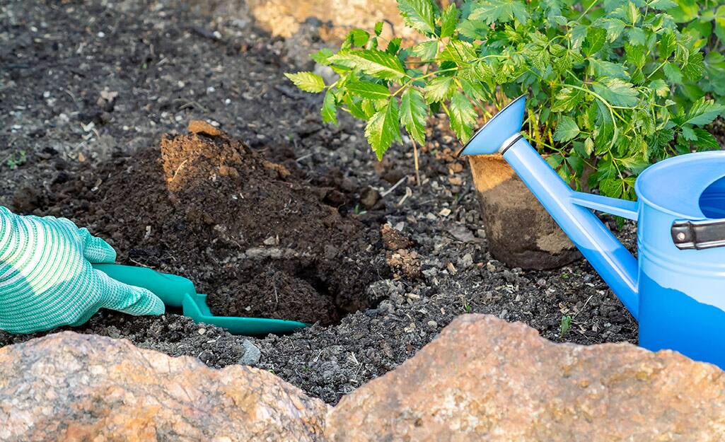 How to Improve Soil in Flower Beds The Home Depot