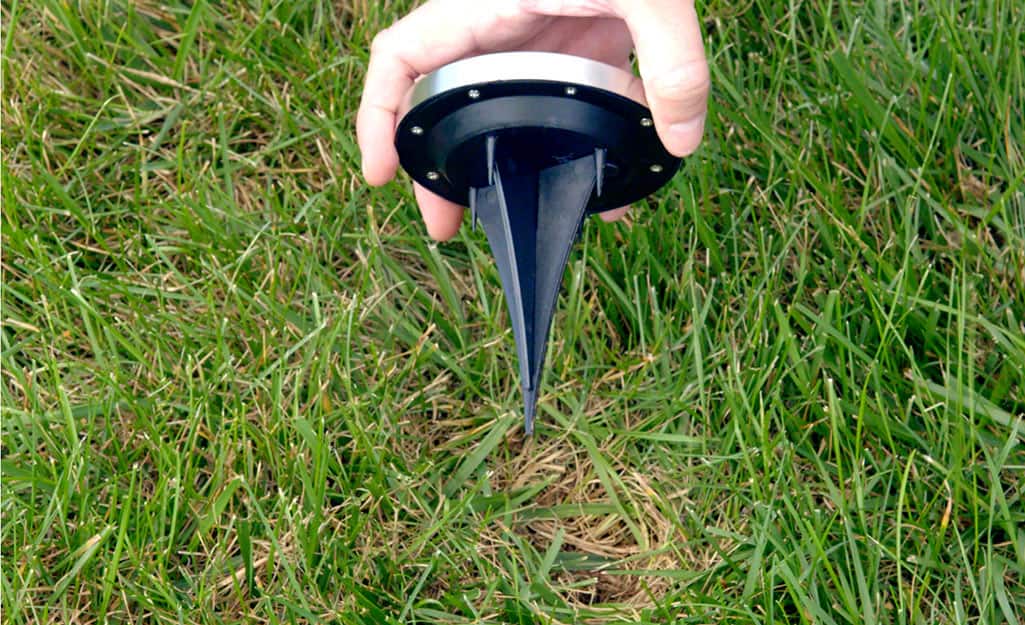 A person about to stake a solar landscape light into a yard. A person about to stake a solar landscape light into a yard.