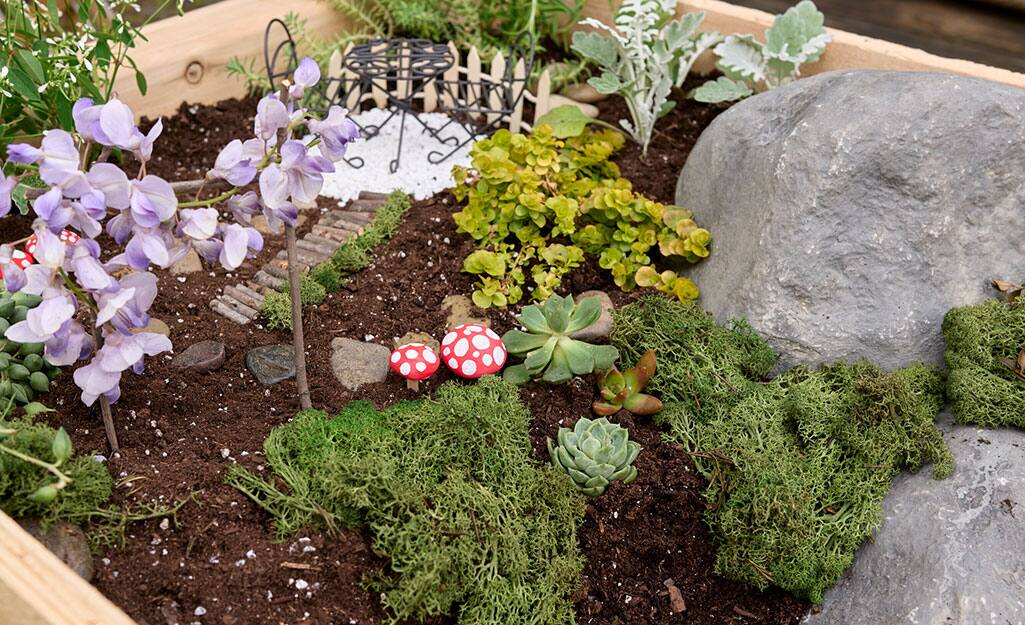 Fairy Garden Ideas The Home Depot