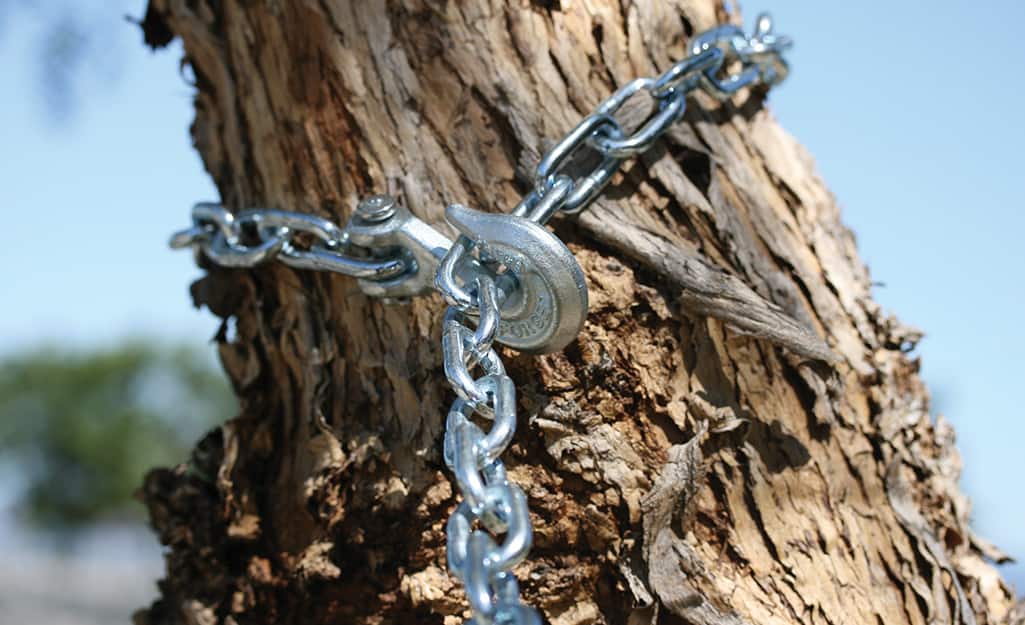 Chains fastened around a branch to make a tree swing. Chains fastened around a branch to make a tree swing.