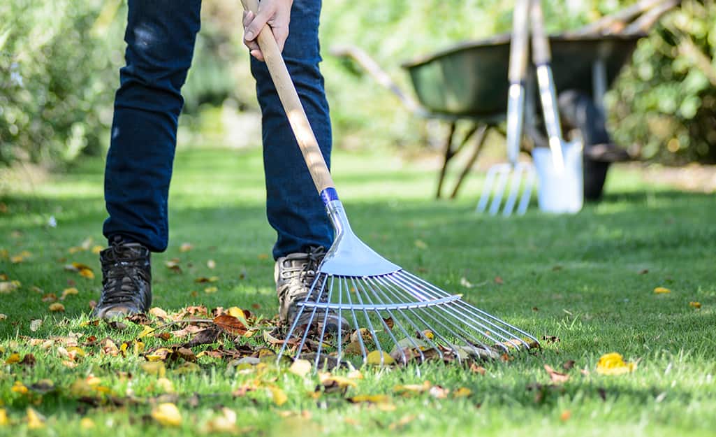 Someone raking leaves from a lawn to make a place for a Zen garden. Someone raking leaves from a lawn to make a place for a Zen garden.