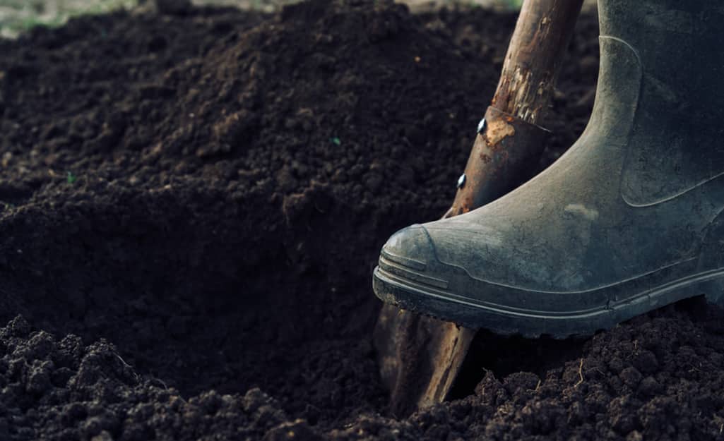 Someone digging a hole in the ground for plants in a Zen garden. Someone digging a hole in the ground for plants in a Zen garden.