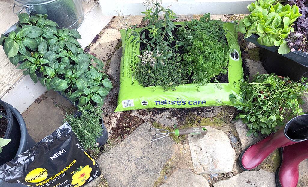 How to Make an Easy Soil Bag Garden - The Home Depot