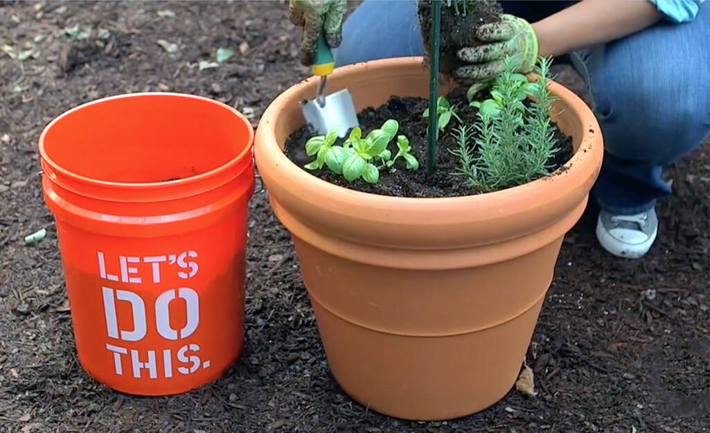 Outdoor Herb Garden Home Depot Garden Design Ideas