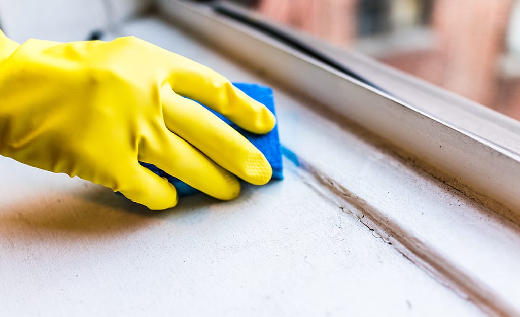 Person cleans a window sill. Person cleans a window sill.