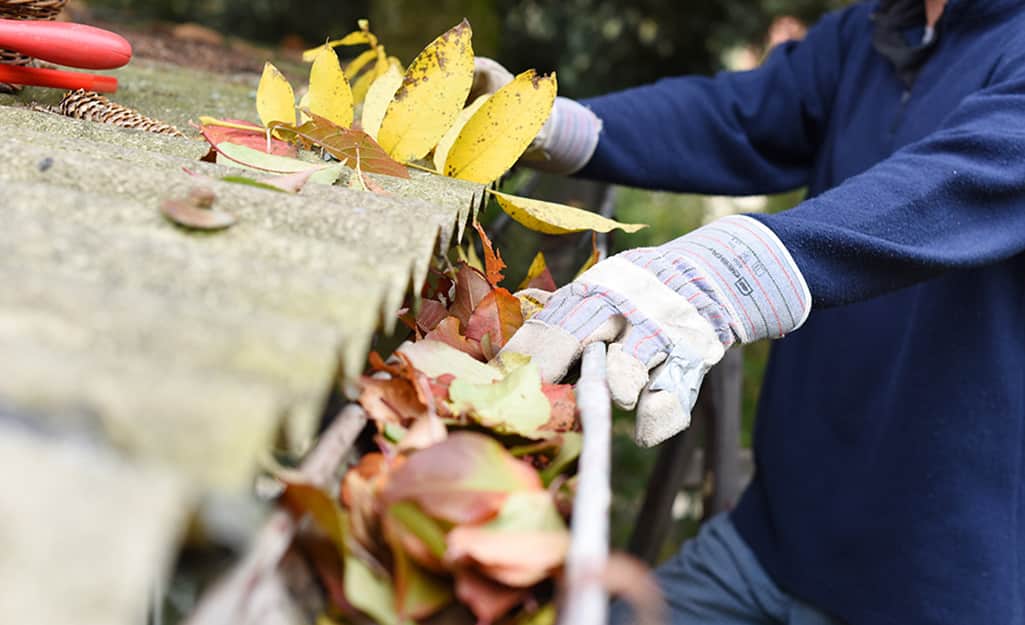 A gloved hand cleaning a gutter clogged with leaves. A gloved hand cleaning a gutter clogged with leaves.