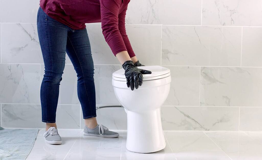 How Much Does It Cost To Change A Toilet Flange