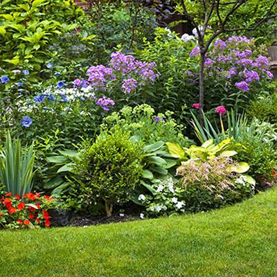 How to Start a Flower Garden in 3 Easy Steps