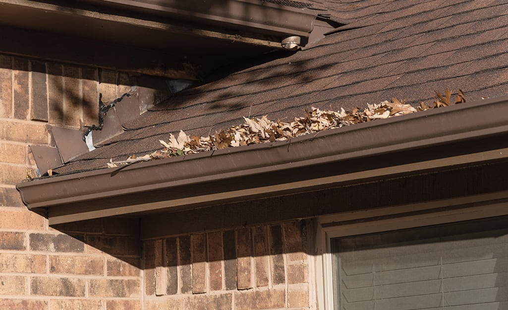 Leaves lining the edge of a roof. Leaves lining the edge of a roof.