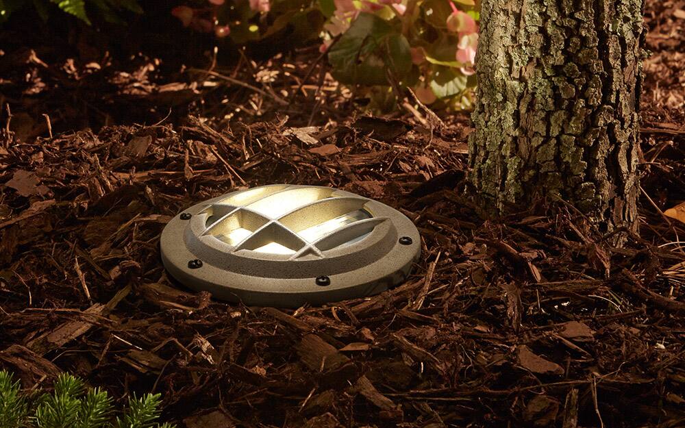 A landscape well light illuminating a mulch garden bed. A landscape well light illuminating a mulch garden bed.