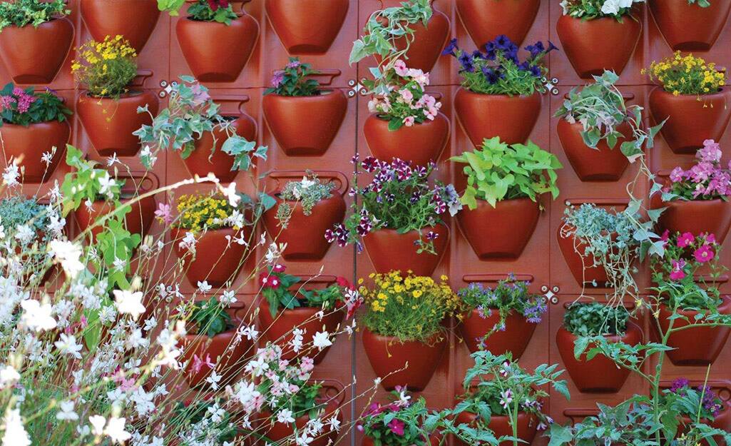 An outdoor wall hung with small planters filled with foliage and flowering plants. An outdoor wall hung with small planters filled with foliage and flowering plants.