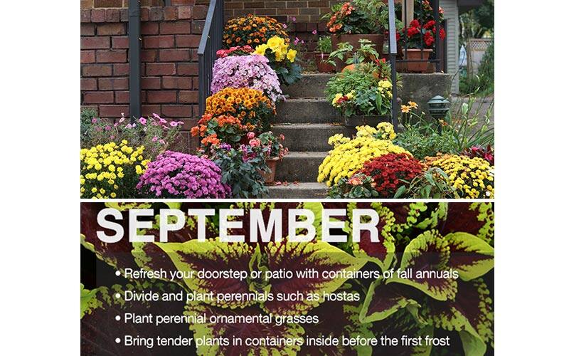 Plan The Year With The Home Depot Garden Club Calendar The Home Depot Plan The Year With The Home Depot Garden Club Calendar The Home Depot