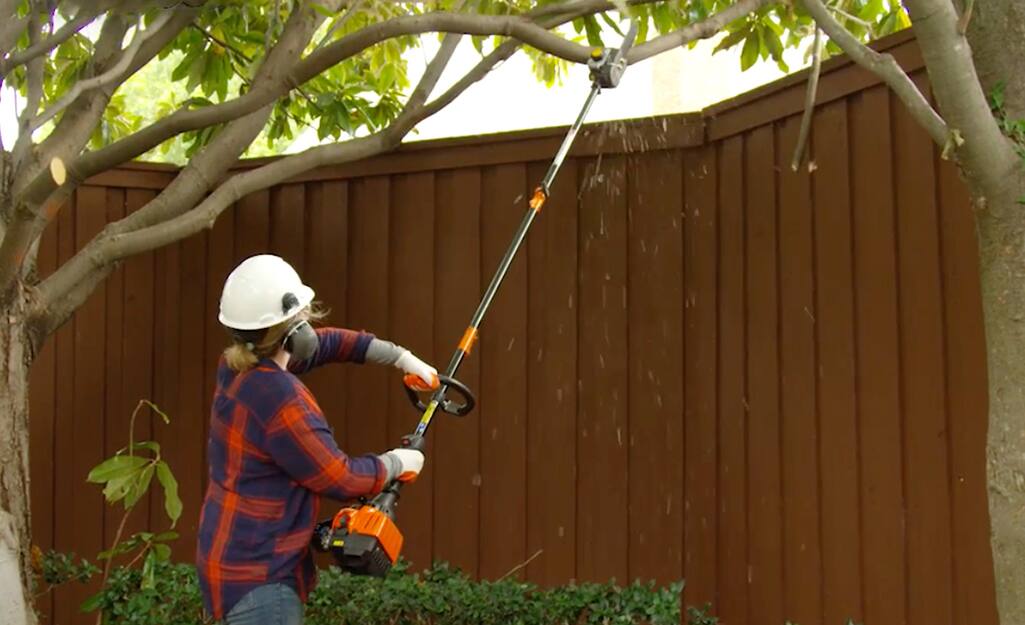 pole saw to trim trees