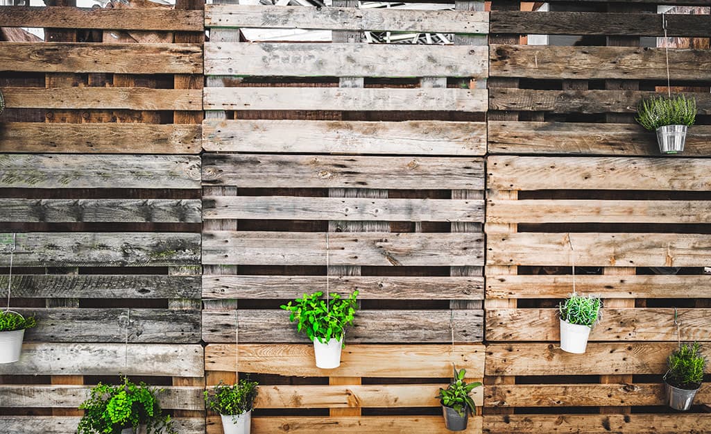 Potted plants hang from the slats of a fence made from upcycled shipping pallets Potted plants hang from the slats of a fence made from upcycled shipping pallets