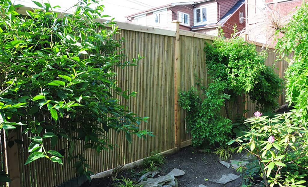 Pieces of cut bamboo make up the panels of a backyard privacy fence Pieces of cut bamboo make up the panels of a backyard privacy fence