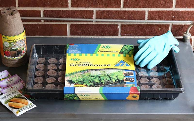 Mini Greenhouse