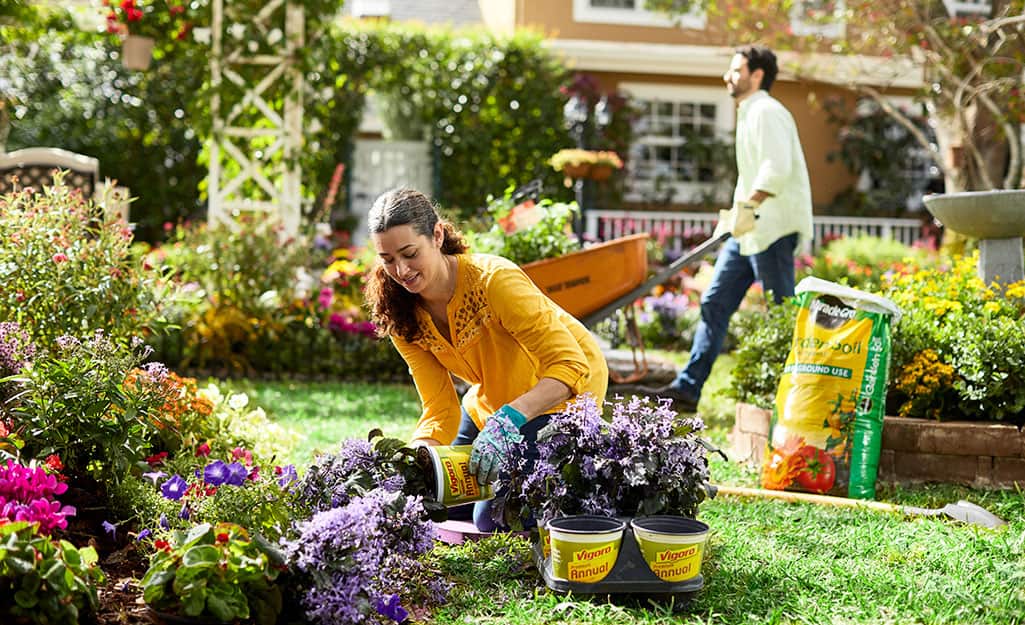 A person adds plants and garden soil to a garden. A person adds plants and garden soil to a garden.
