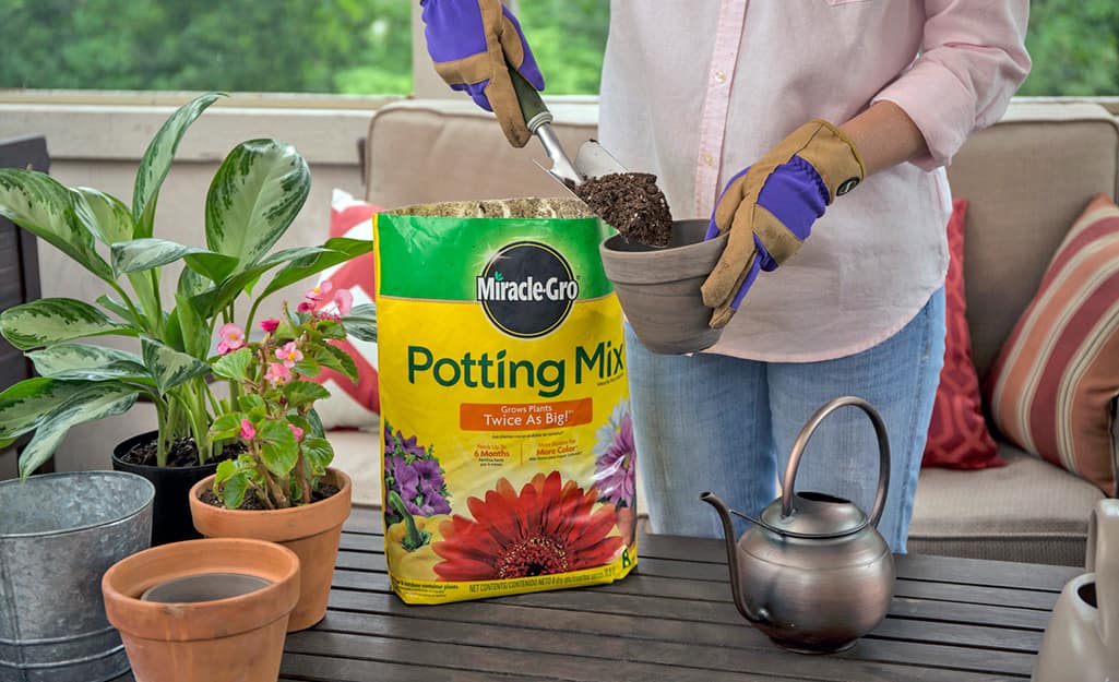 A person fills a pot with potting mix. A person fills a pot with potting mix.
