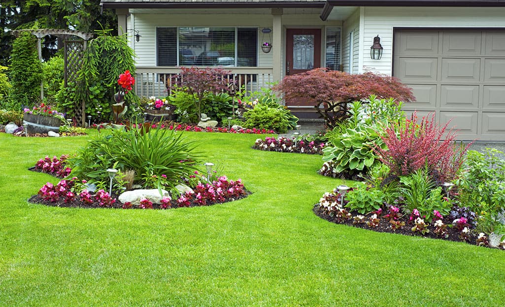 A vibrant green front lawn with neatly landscaped areas of flowers. A vibrant green front lawn with neatly landscaped areas of flowers.