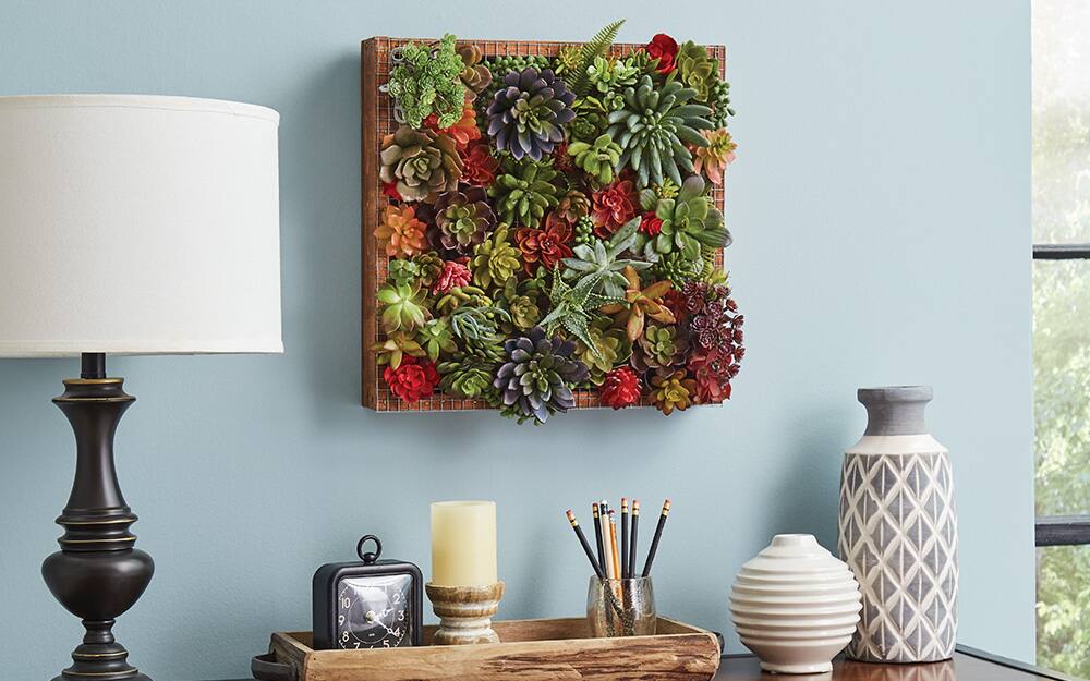 Different colored succulents growing on a board hung as wall art.