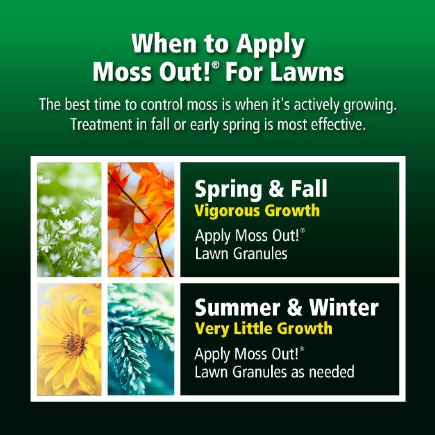 Moss Out! 40 lbs. Moss Out! Lawn Granules 100517153 The Home Depot