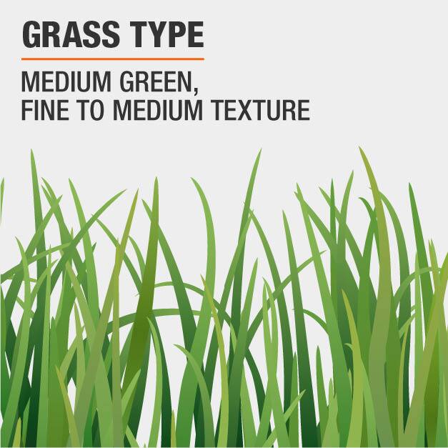 Vigoro 15 Lb Bermuda Grass Seed Blend Hg The Home Depot