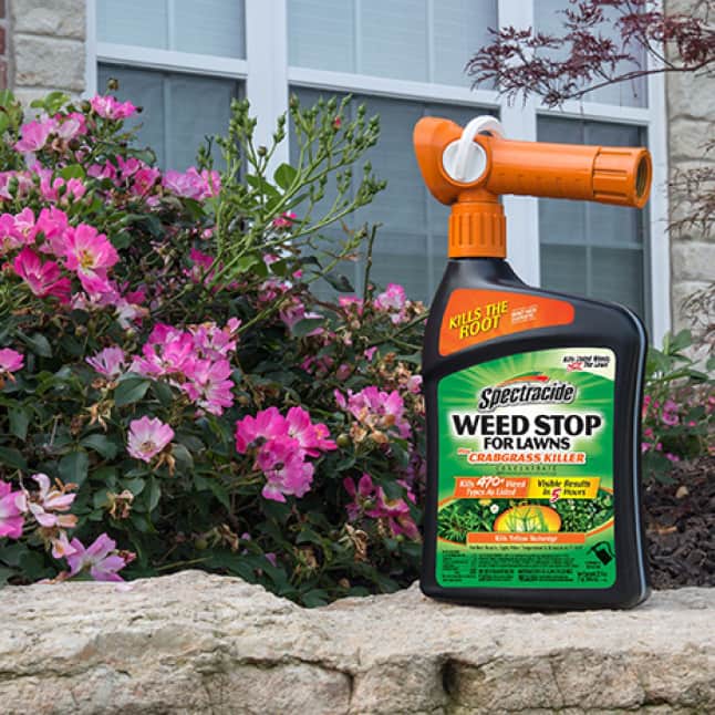weed stop for lawns plus crabgrass hose end sprayer sitting on retaining wall