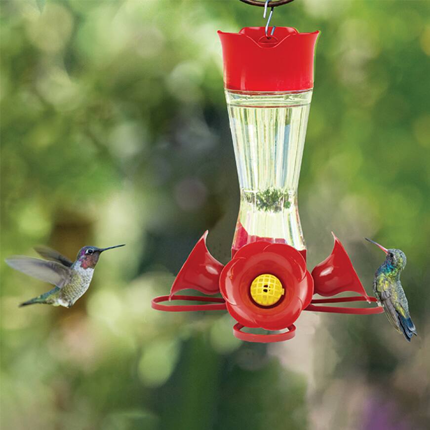 PerkyPet Pinch Waist Glass Hummingbird Feeder 203CP4 The Home Depot
