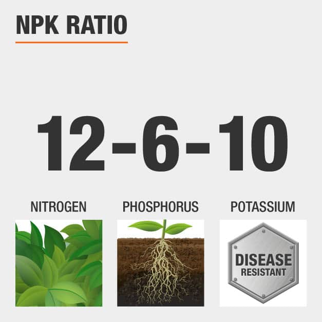 Vigoro 20 lb. All Season Rose Plant Food (12610) 162116 The Home Depot