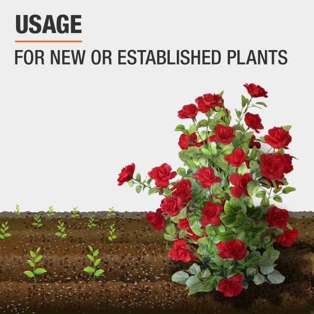 Vigoro 20 lb. All Season Rose Plant Food (12610) 162116 The Home Depot