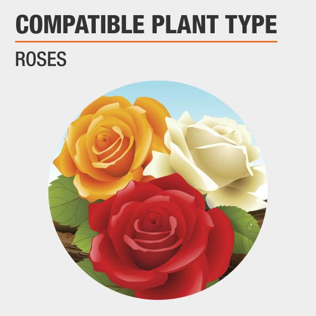 Vigoro 20 lb. All Season Rose Plant Food (12610) 162116 The Home Depot