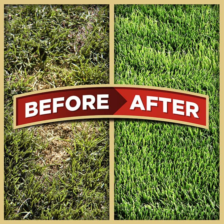 Pennington 5 lb. One Step Complete for Sun and Shade North Areas with