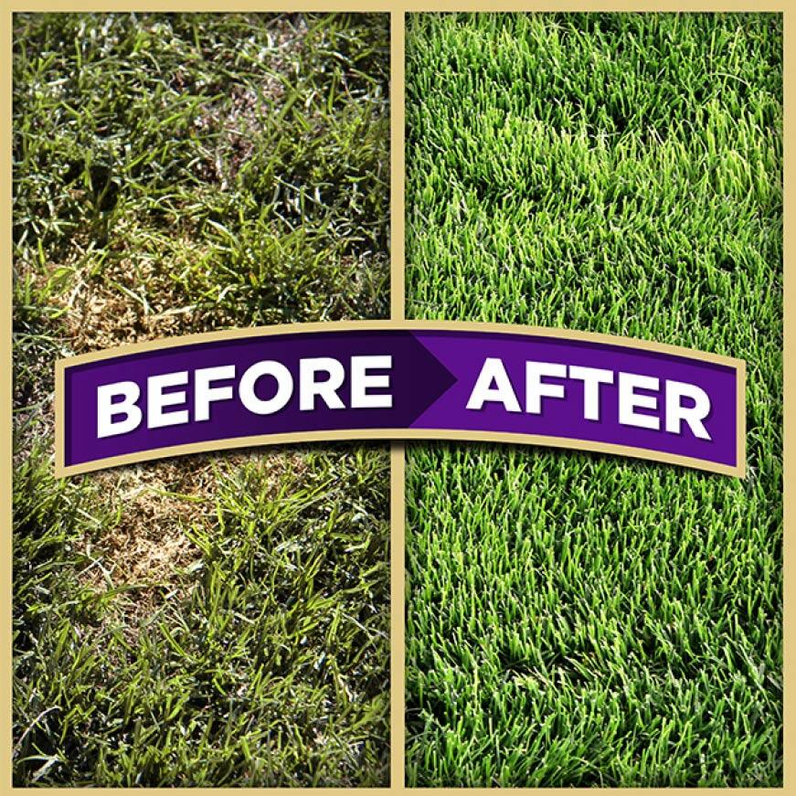 Pennington 5 lb. One Step Complete for Dense Shade Areas with Smart Seed, Mulch, Fertilizer Mix