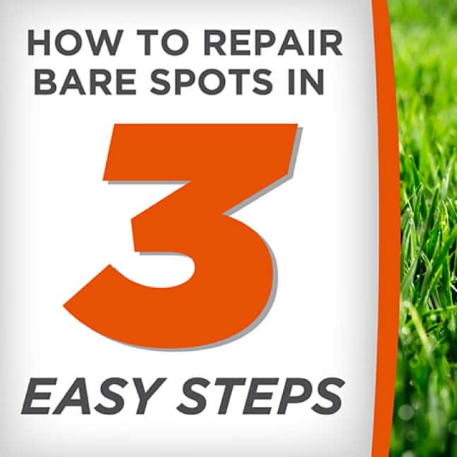 Pennington 5 lb. One Step Complete for Bermudagrass Areas with Mulch