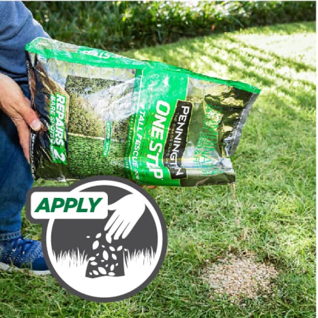 Pennington 5 lb. One Step Complete for Tall Fescue with Smart Seed
