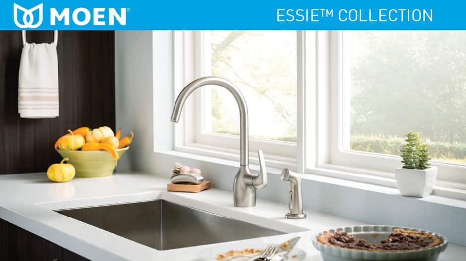 MOEN Essie Single-Handle Standard Kitchen Faucet with Side Sprayer in ...