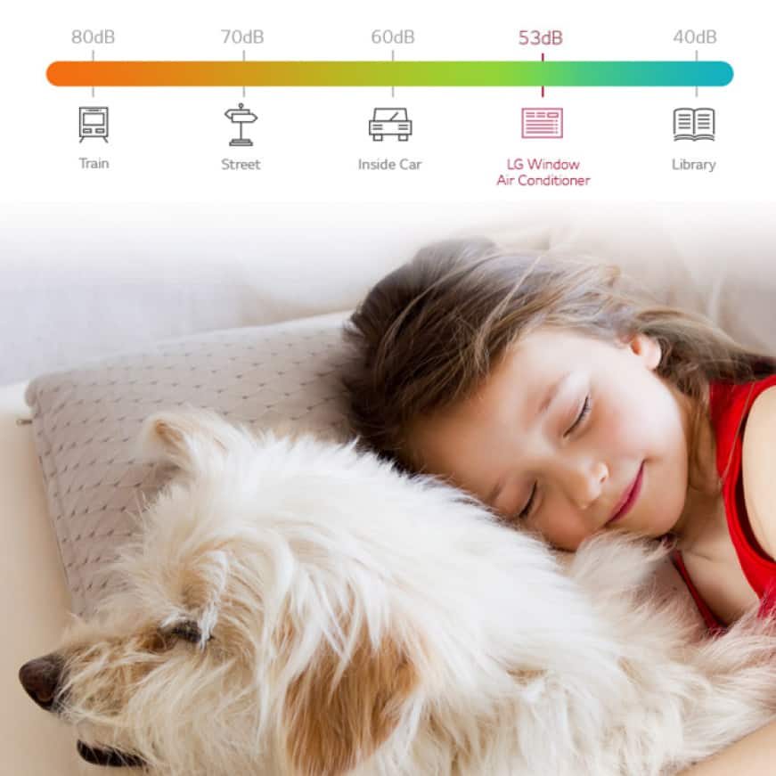 Young girl sleeping soundly with dog and lo-decibel chart