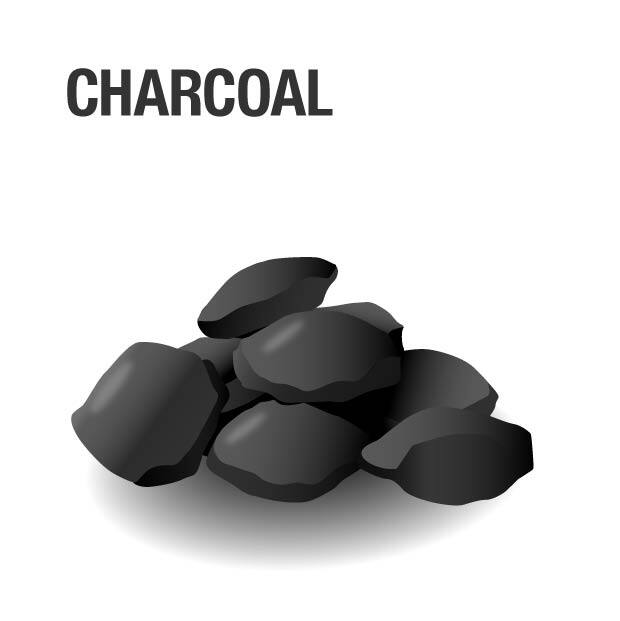Grill fueled by Charcoal
